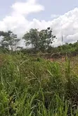 6,489 Acres Land for Sale at Owode Idi-Emi, Yewa North - 1