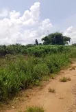 6,489 Acres Land for Sale at Owode Idi-Emi, Yewa North - 2