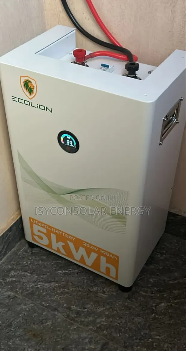 Ecolion 5kWh 24V Lithium Battery - 1