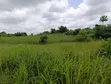 5 Acres of Land for Sale at Ayetoro Off Lagos-Ibadan Expressway - 1