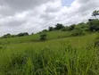 5 Acres of Land for Sale at Ayetoro Off Lagos-Ibadan Expressway - 2