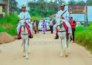 Horses and Chariots for Rent
