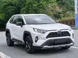 Toyota RAV4 2022 Fari - 3