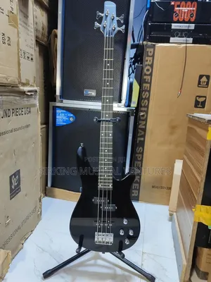 Brand New 5-String Bass Guitar