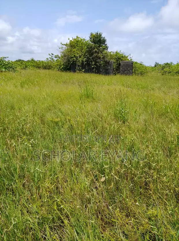 24 Plots na Kasa Mai Kyau a Olokonla, Sangotedo, Lekki - 1