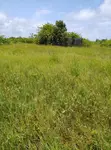 24 Plots na Kasa Mai Kyau a Olokonla, Sangotedo, Lekki - 1