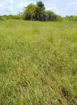 24 Plots na Kasa Mai Kyau a Olokonla, Sangotedo, Lekki - 3