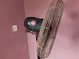 Ox Standing Fan Mai Girman Inches 20 (An Riba) - 2
