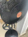 Ox 18-Inch Plastic Standing Fan - 3