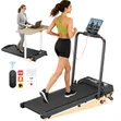 Bodygym 2.5HP Treadmill Mai Ninka (12km/h, 130kg) - 1
