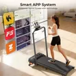Bodygym 2.5HP Treadmill Mai Ninka (12km/h, 130kg) - 2