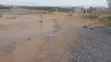 JV Land for Sale in Kaura District, Abuja - 1.9 Hectares - 2