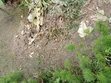 1 to 18 Plots of Land for Sale at Omuagwa Ph - 1