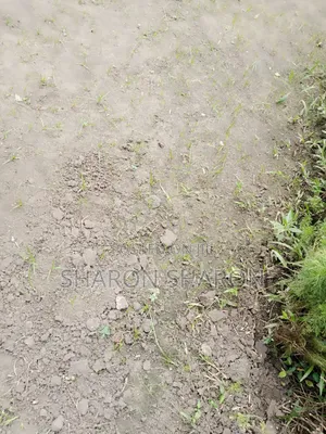 1 to 18 Plots of Land for Sale at Omuagwa Ph