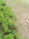 1 to 18 Plots of Land for Sale at Omuagwa Ph - 3