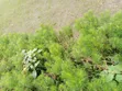 1 to 18 Plots of Land for Sale at Omuagwa Ph - 4
