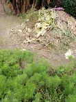 1 to 18 Plots of Land for Sale at Omuagwa Ph - 5