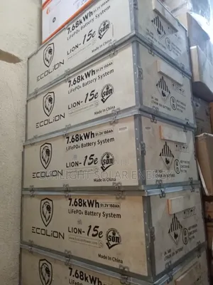 Ecolion 7.68kWh Lithium Battery 51.2V