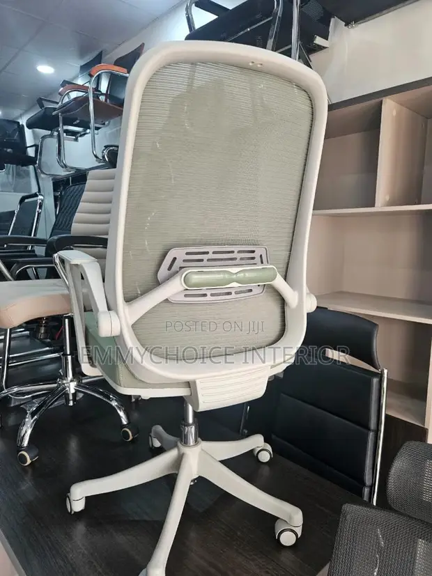 Ergonomic Mesh Office Chair - Sage Green - 1