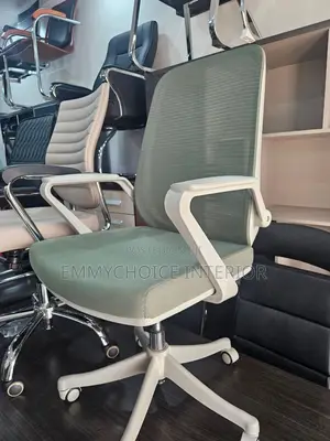 Ergonomic Mesh Office Chair - Sage Green