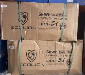 Ecolion 5kWh 25.6V LiFePO4 Lithium Battery LION-5D