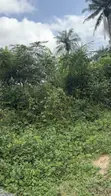 Residential Land for Sale in Calabar - 3