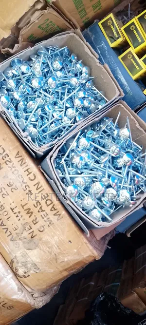 Zink Roofing Nails Pack