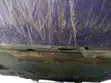 Dodge Charger 2023 Purple - 5