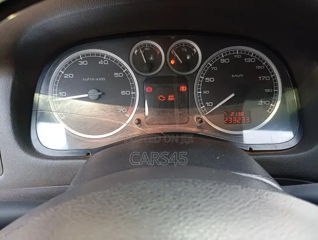 Peugeot 307 2004 Silver - 1