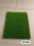 First Grade Artificial Grass - 3