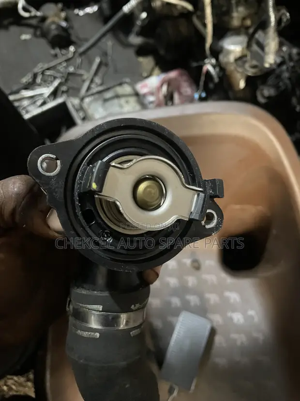 Thermostat for Maserati Levante - 1
