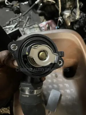 Thermostat na Maserati Levante