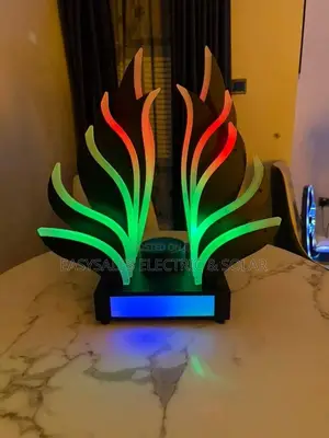 Colorful Acrylic LED Bottle Presenter Glorifier