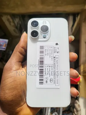 Apple iPhone 15 Pro Max 256GB Silver