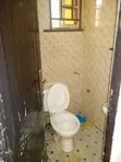 Gidan Kwana Daya na Banci a Kubwa - 3