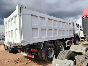 10 Tyres Howo Dump Truck - China Use