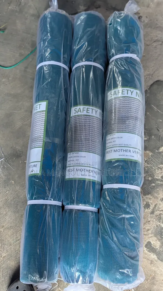 Scaffolding Net - 1