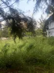 Genesis Court Estate Phase 2 Land for Sale, Badore Ajah - 2