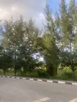 Genesis Court Estate Phase 2 Land for Sale, Badore Ajah - 3