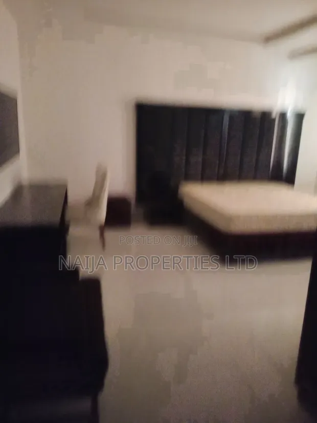 Furnished Studio Apartment, Sanusi Fanfunwa, VI - 1