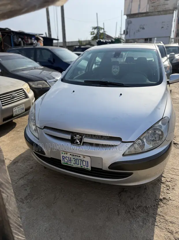 Peugeot 307 2005 Silver - 1