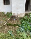 Gidaje 6 na Falo a Ekehuan Barracks, Benin City Don Siyarwa - 5