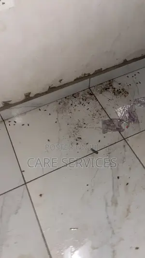 Crowncare Professional Fumigation & Disinfection Services