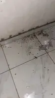 Crowncare Professional Fumigation & Disinfection Services - 1