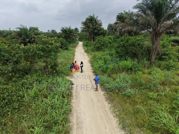 Dongo Village Filin Sayarwa - Zuba Jari Kafin Ci Gaba - 1