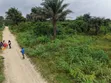 Dongo Village Filin Sayarwa - Zuba Jari Kafin Ci Gaba - 2