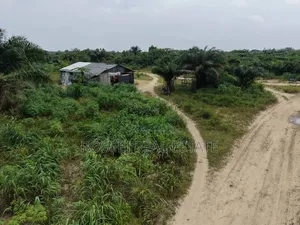 Dongo Village Filin Sayarwa - Zuba Jari Kafin Ci Gaba