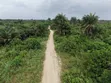 Dongo Village Filin Sayarwa - Zuba Jari Kafin Ci Gaba - 5