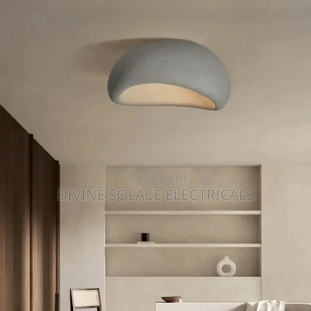 Brand New d.light Dining Ceiling Fitting - 1