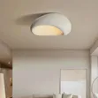 Brand New d.light Dining Ceiling Fitting - 2
